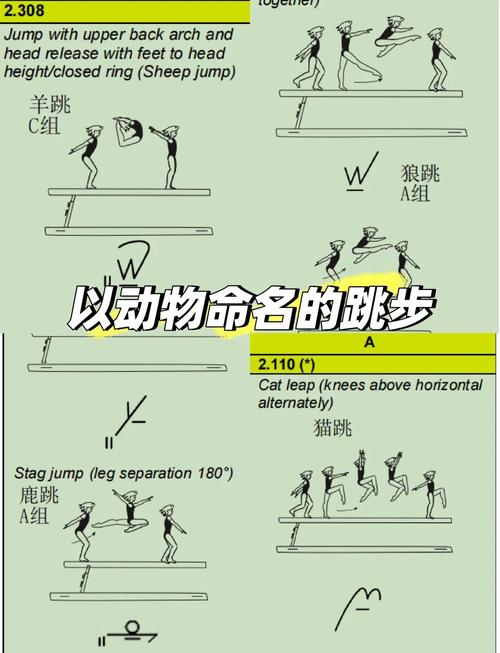 翻转和跳跃