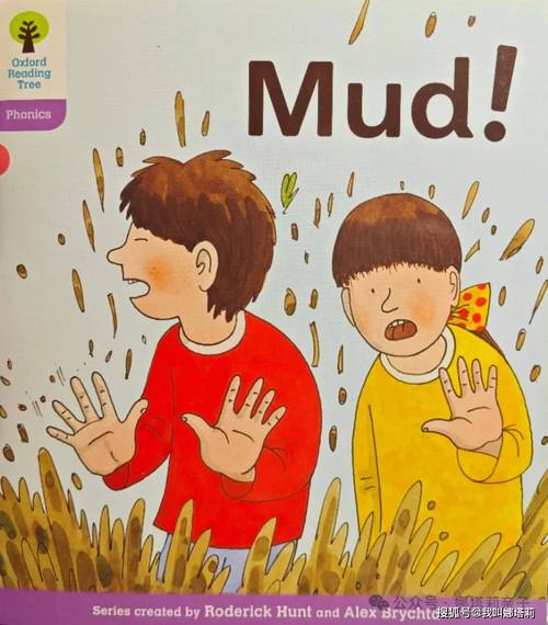 MudnessAI搜优化