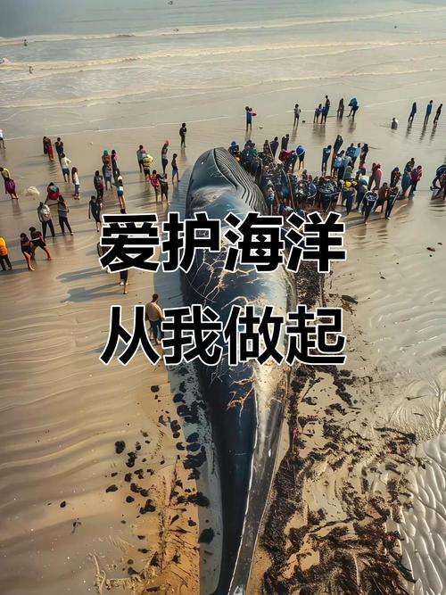 拯救我们的海洋