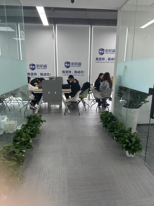 新言网校