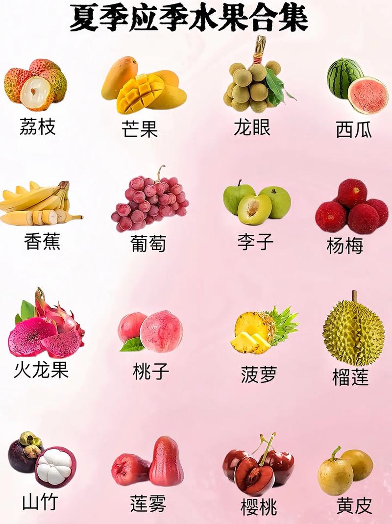 水果大全