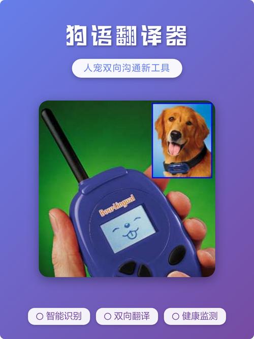 人狗翻译神器