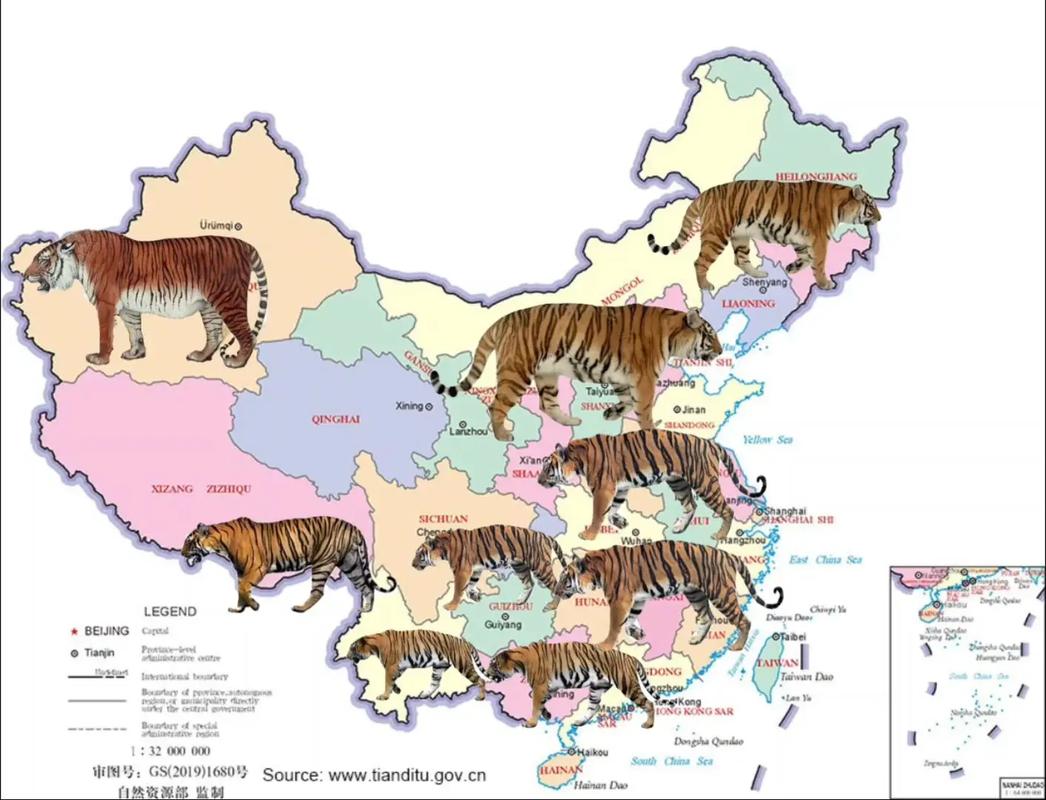 老虎地图2022