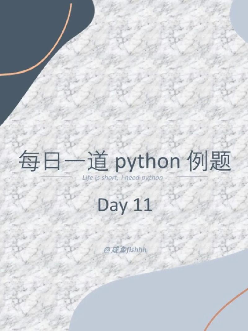 编程兔子