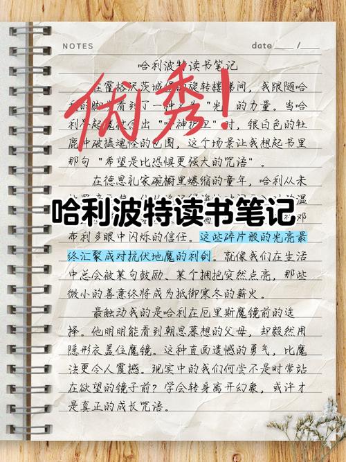 哈瓦笔记