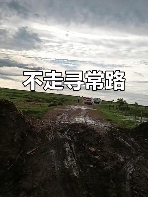 不走寻常路最高清版