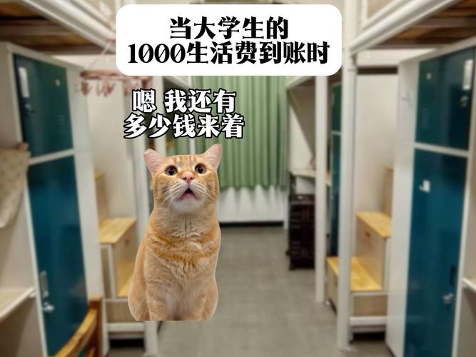 月初拿到生活费的我破解无限配额