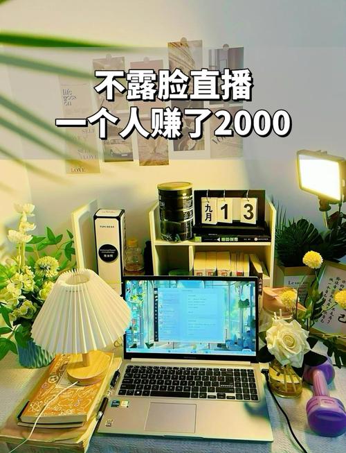 无露脸赚钱