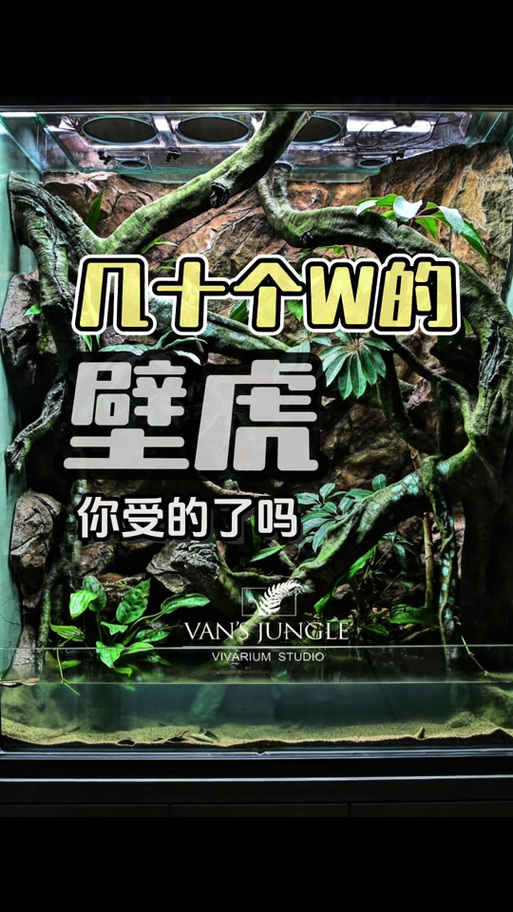 养3000只壁虎一年有多少收益移动端