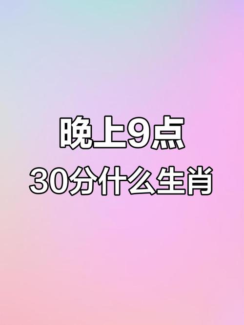 晚上9点30分开什么生肖去广告破解版升级
