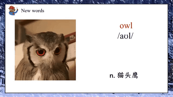 Owlfiles