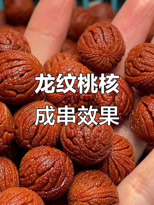 秦岭桃核加速版