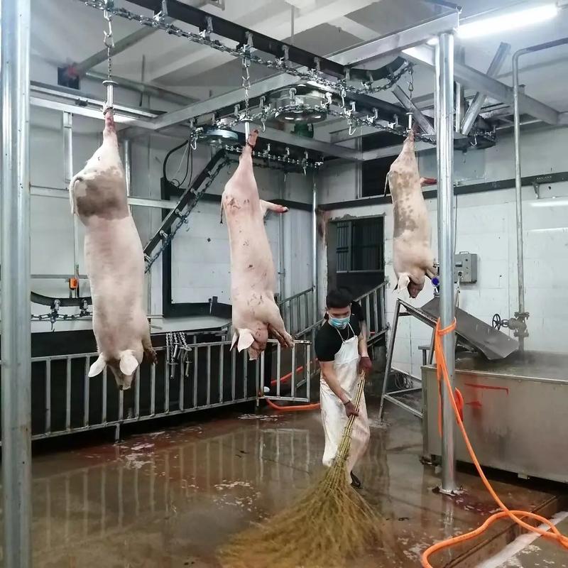 杀猪流水线猪蹦起来怎么回事无限能量