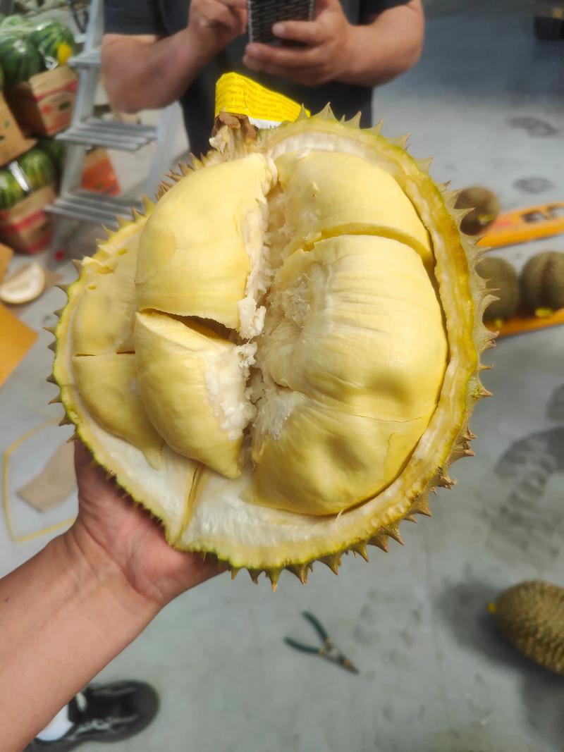泰国树熟金枕榴莲