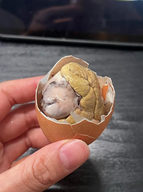 火珠子app