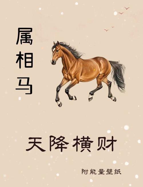 马年后面是什么生肖内置版