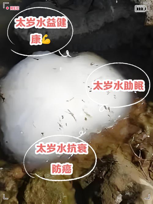 太岁水