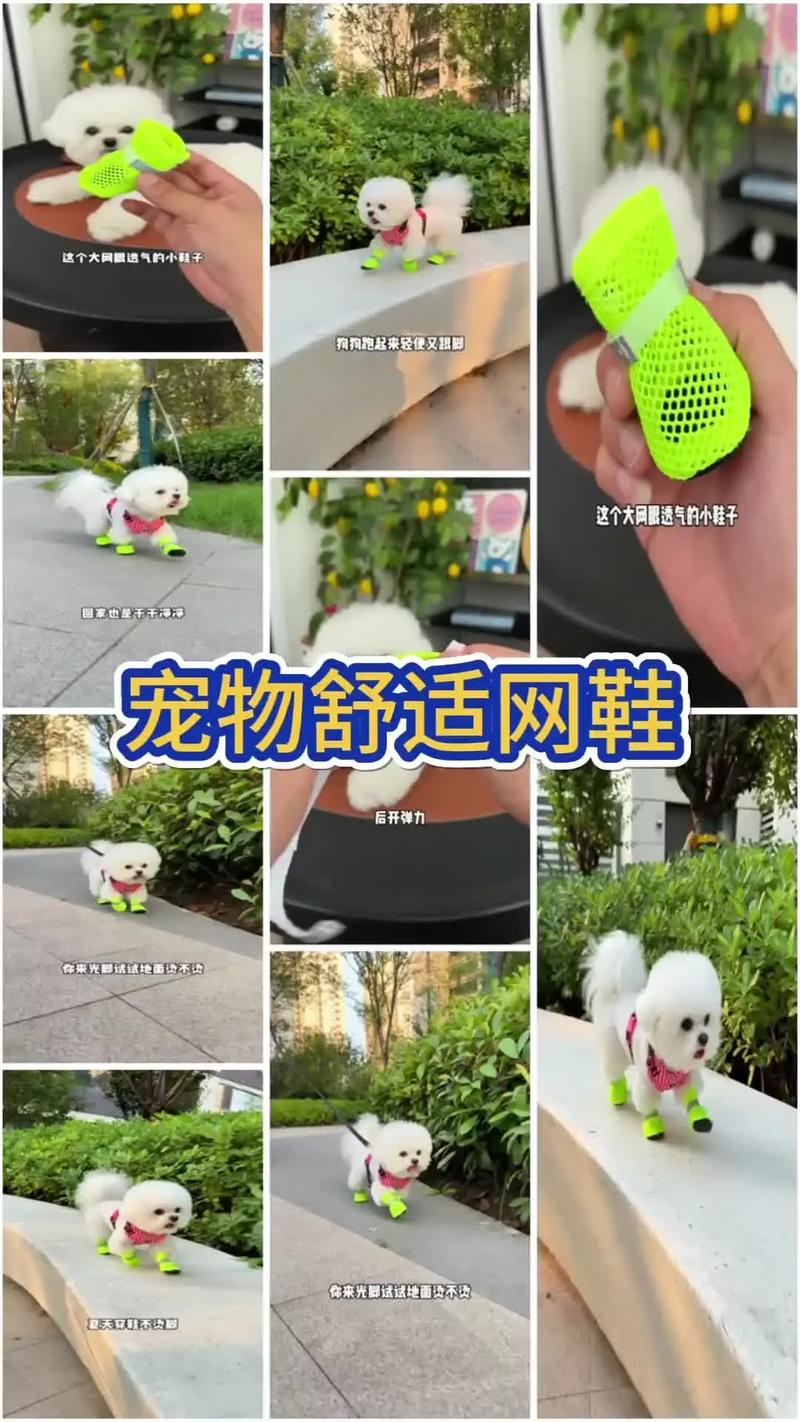 跟脚网宠物平台