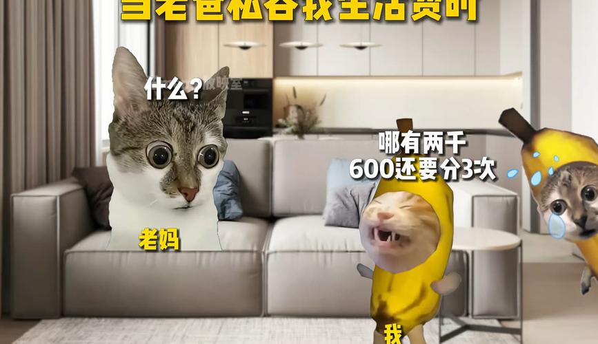 老爸私吞我生活费无限时