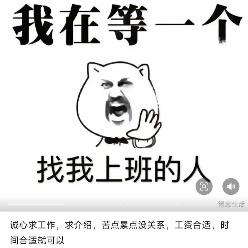 年前找工作电视版