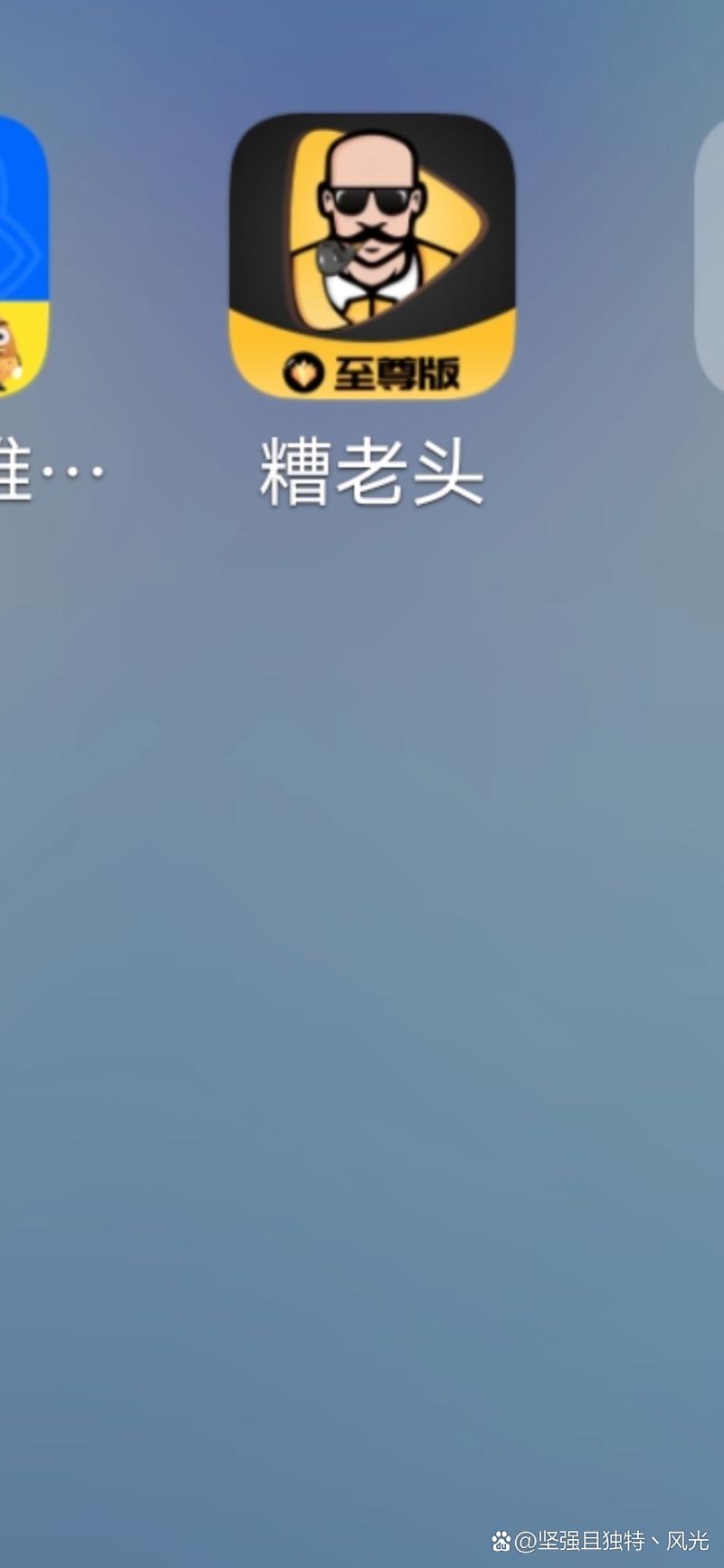 糟老头至尊版纯净无广告版永久vip无广告