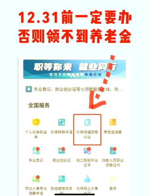 老来健康社保认证免费纯净版