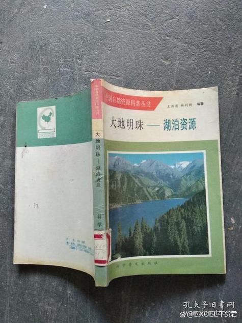 大地资源三中文在线官网第三页