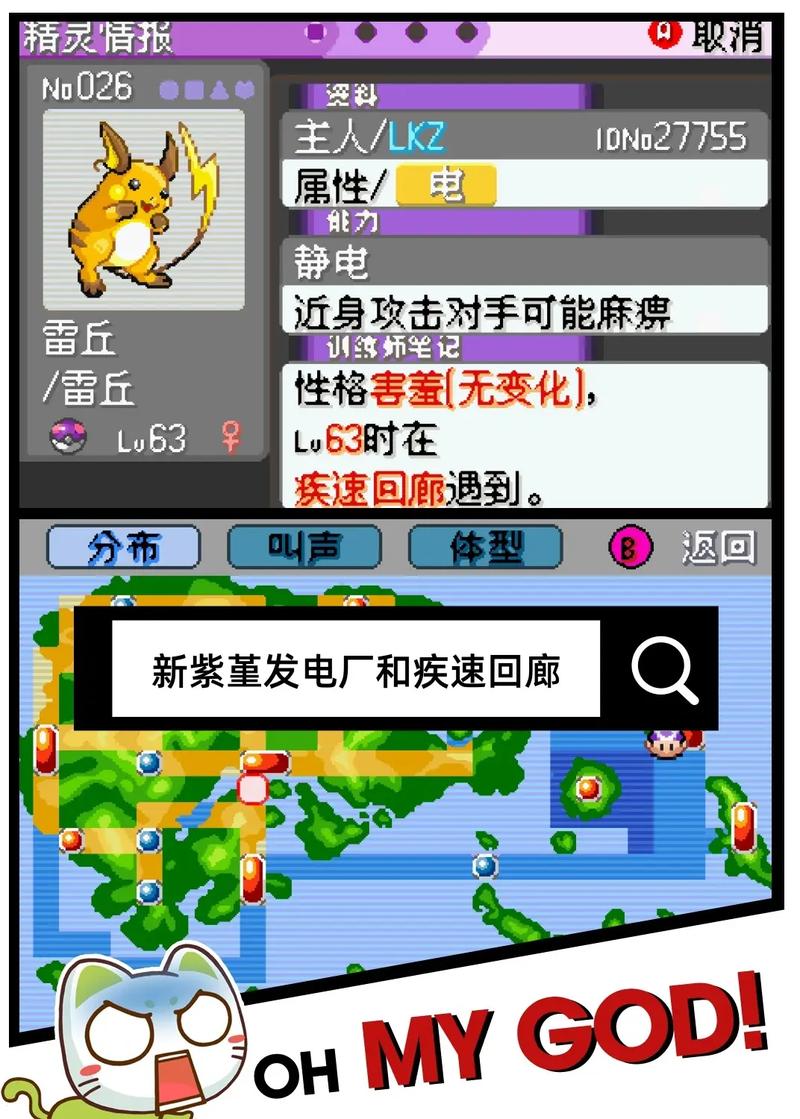 宠物小精灵dp40