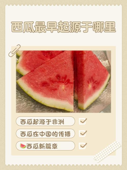 西瓜文化软件下载2026破解版