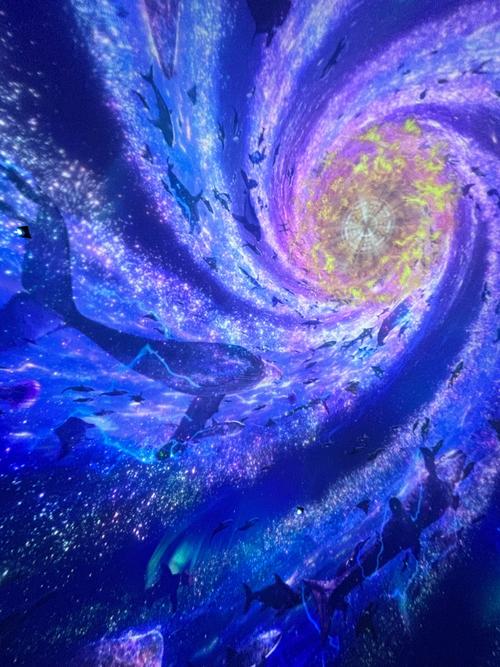 海底星空