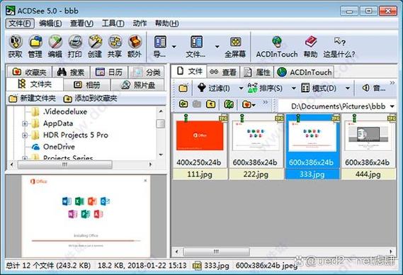 acdsee3.1破解版