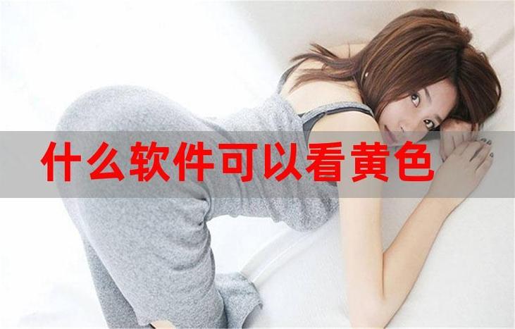 小黄花必看的软件免费下载