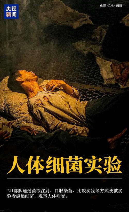 七七影视无删减版