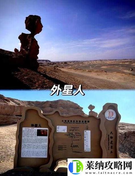 国产无人区码卡二卡三卡免登录版