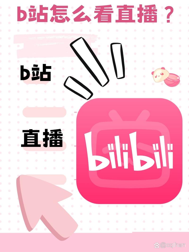 适合晚上看b站直播的平台免费高清版