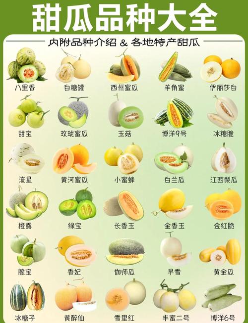 每日必吃大瓜全网最新