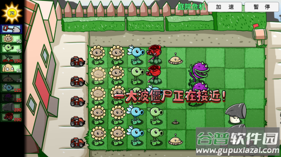 植物大战僵尸bt宅宅萝卜下载无赖花最新版