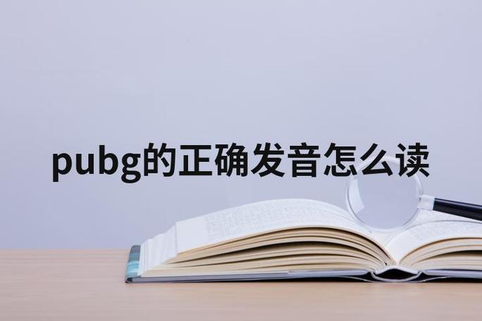 pubg怎么读无限次数版