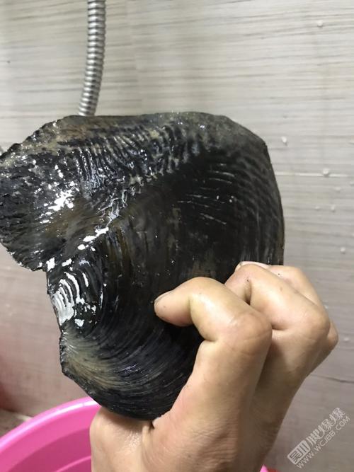 吴川脚爆爆