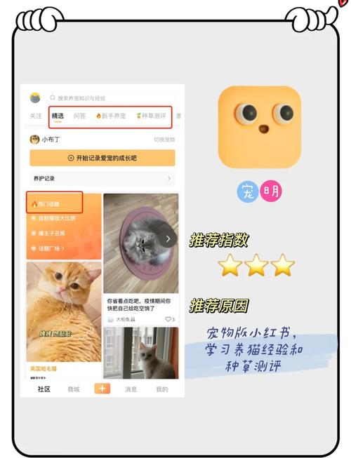 友猫app最新版