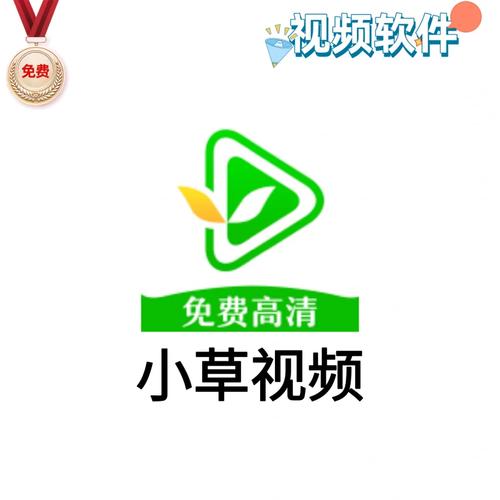 小草影视直播看