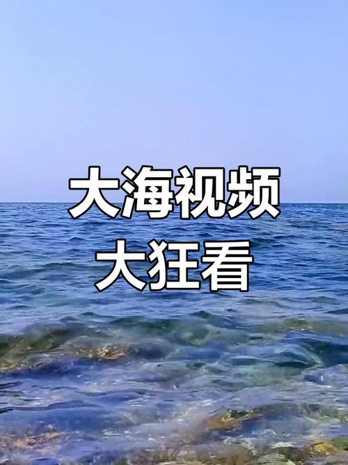 大海视频免费版V2.5.2