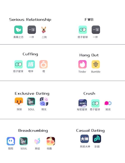 椰社软件