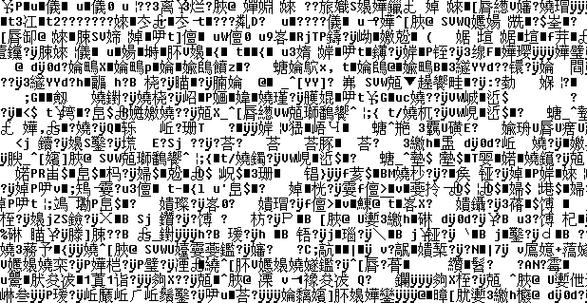 中文文字乱码20