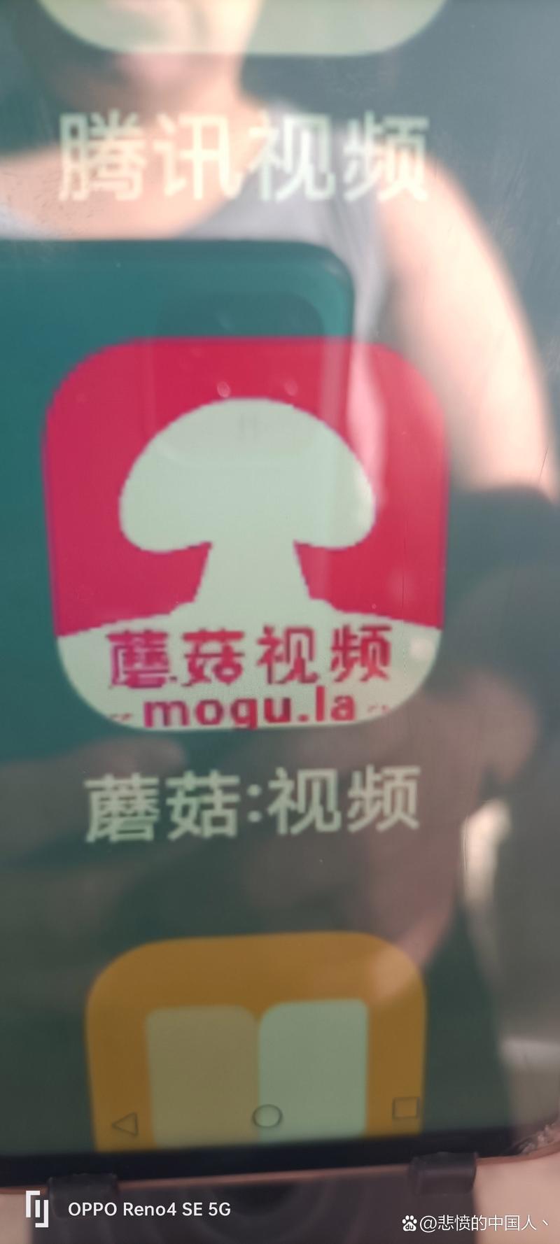 蘑菇tv3秒自动打开