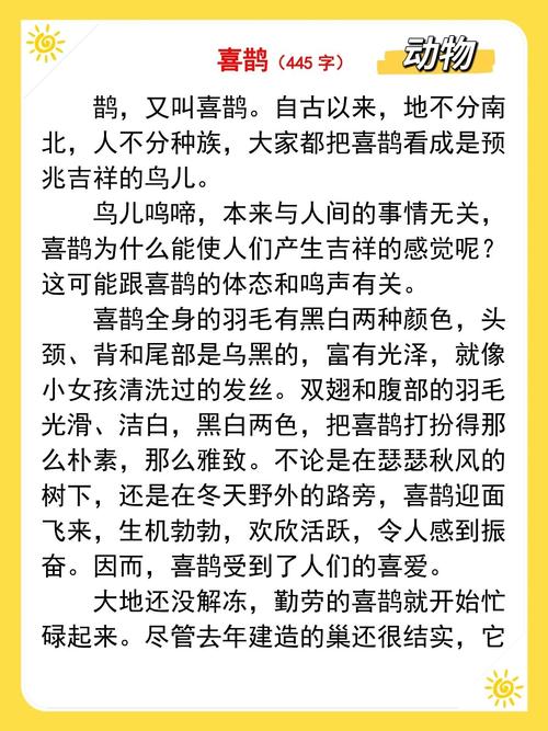 喜鹊小说导剪版