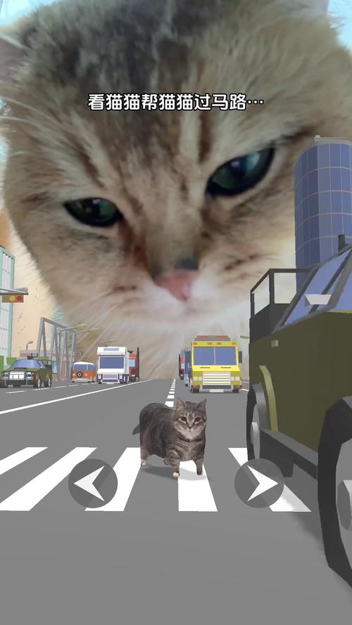 萌猫大闯关手机版