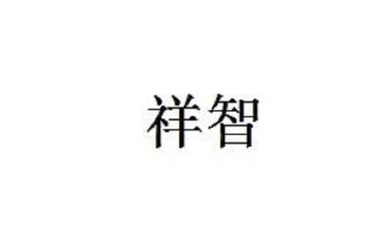 祥智安卓版下载