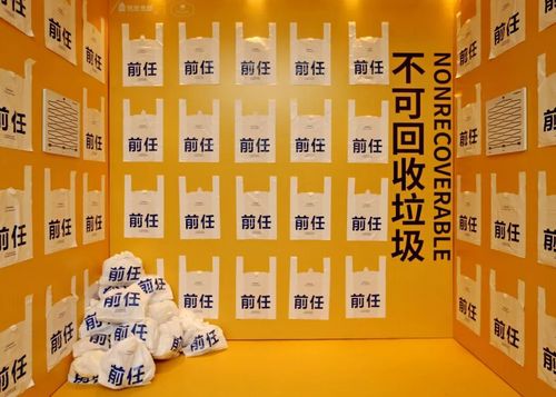 前任是什么垃圾