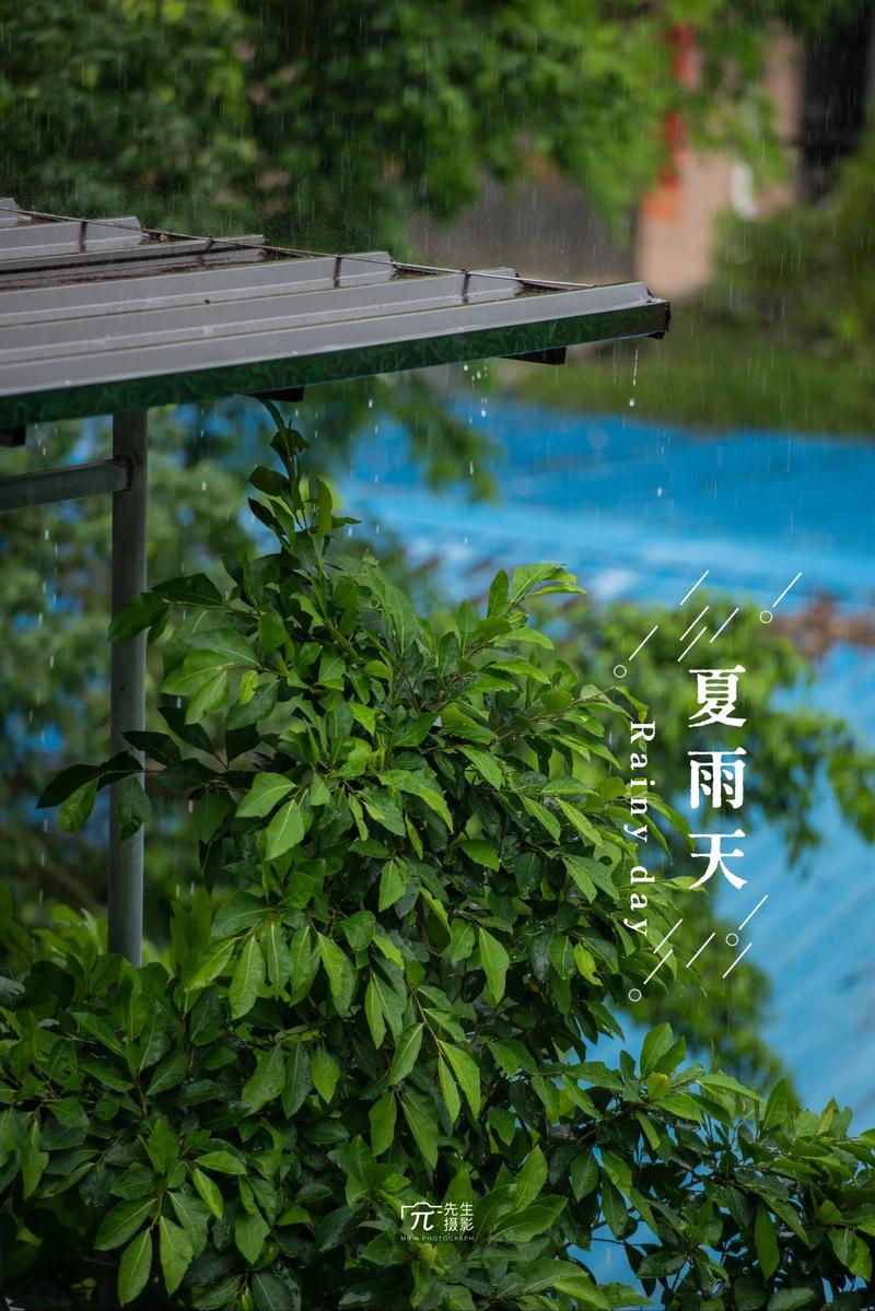夏雨天气官方版下载